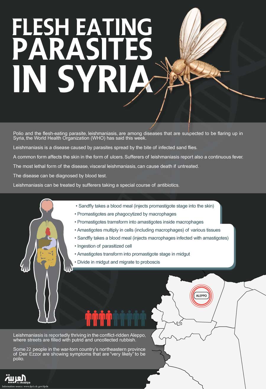 Infographic: Flesh-eating parasites in Syria