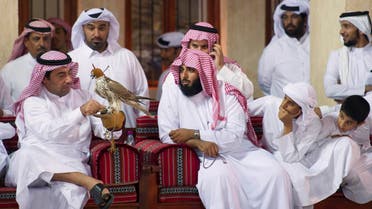Falcon Auction in Doha