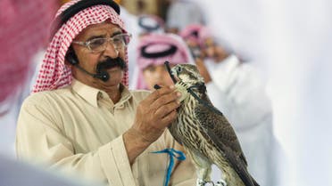 Falcon Auction in Doha