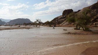 سعودی عرب: مغربی حائل میں موسلا دھار بارش، ندی نالوں میں طغیانی