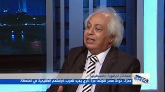 محمد حمزة: زيارة كيري لمصر تعد اعترافاً بالنظام الجديد