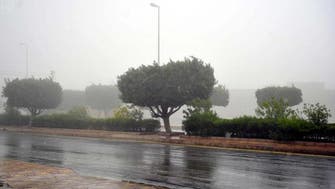 Fierce summer showers in Saudi Arabia