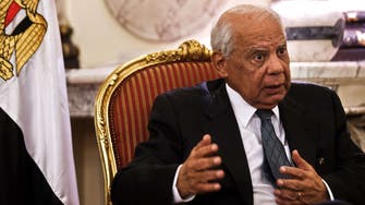 Egypt to start fuel cuts in 2014