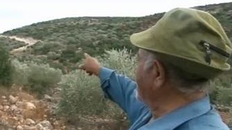 Olive picking under Israel’s watchful eye 