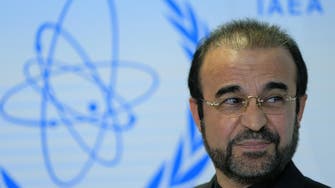 Iran sees implementation of nuclear deal starting by early January
