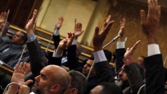 Egypt panel begins vote on new charter