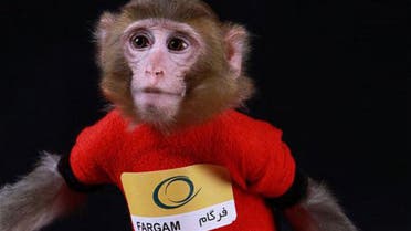 iran space monkey