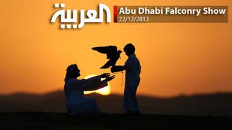 Abu Dhabi Falconry Show