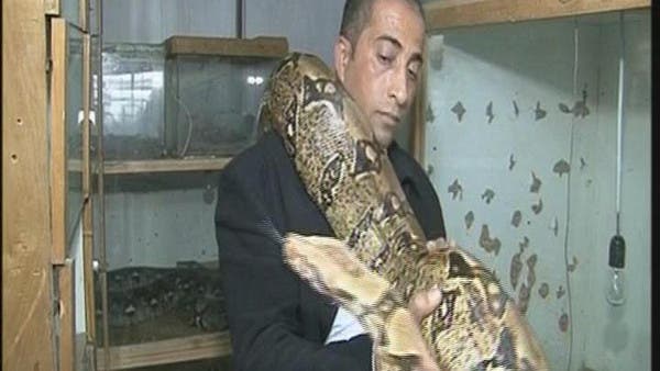 Poisonous passion: Palestinian man raises rare snakes