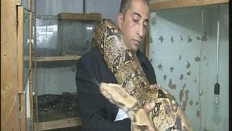 Poisonous passion: Palestinian man raises rare snakes 