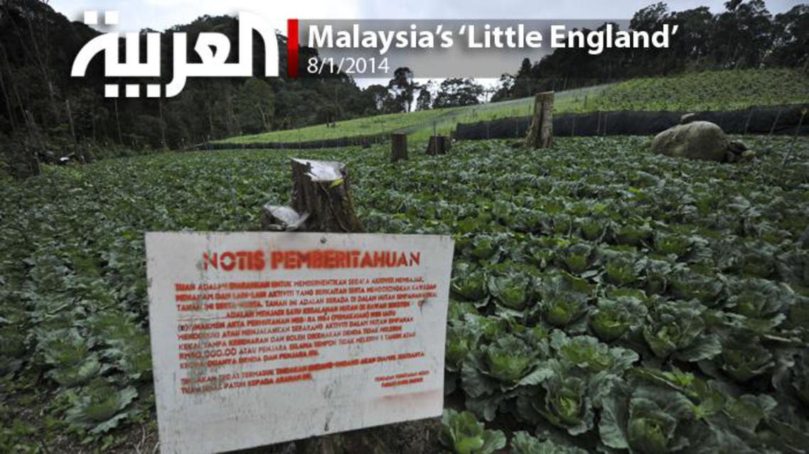 The Cameron Highlands: Malaysia’s ‘little England’