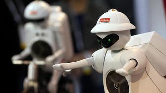 Robots invade consumer market for play, work                     