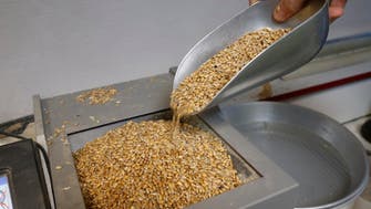 Egypt has enough wheat until mid-May: minister