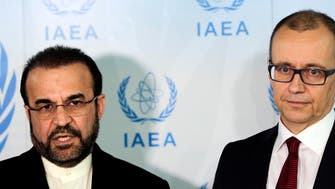 IAEA says nuclear talks with Iran postponed to Feb. 8