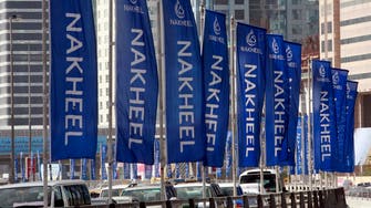 Dubai's Nakheel posts 27% 2013 profit gain