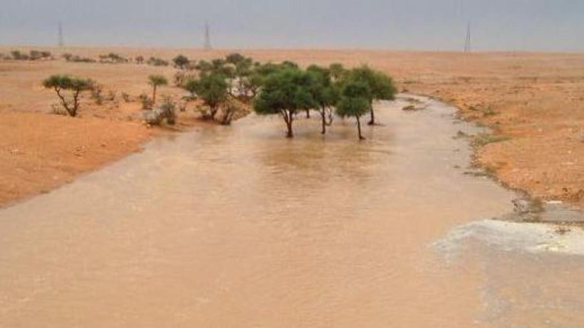 Six girls from Saudi Arabia drown in east Riyadh