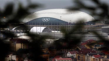 A view of the Bolshoy Ice Dome in the Olympic Park is seen at the Adler district of Sochi January 20, 2014. 
