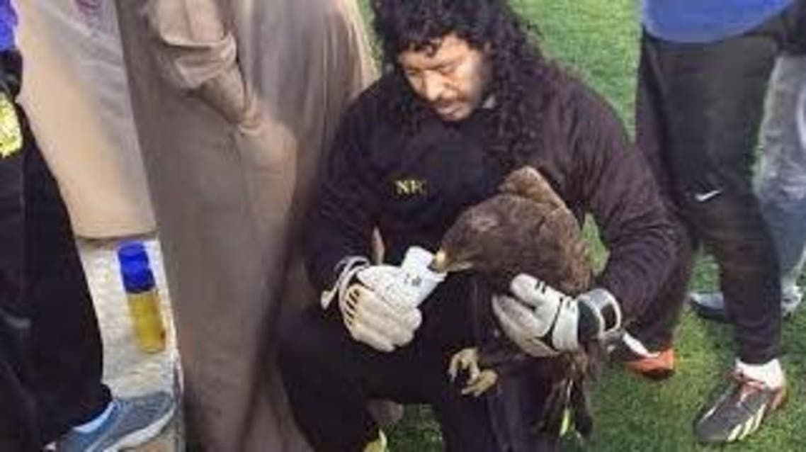 هيغيتا