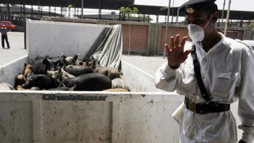 Swin flue egypt (Reuters)
