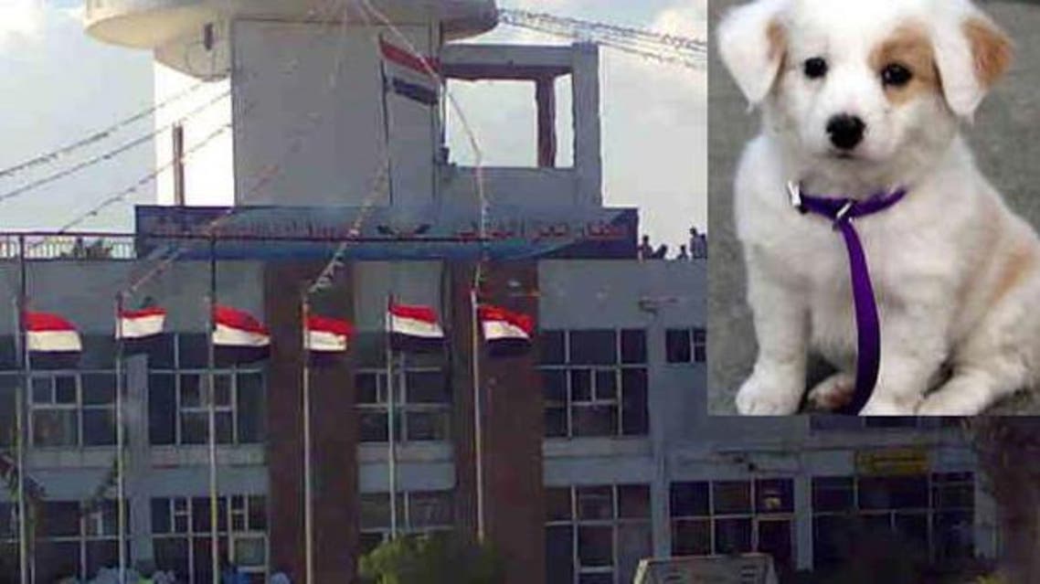 The curious incident of a dog on an airplane: canine prevented Flight 130, which was coming from Saudi Arabia's Jeddah, from landing in Taez