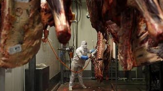 Denmark bans religious slaughtering of animals