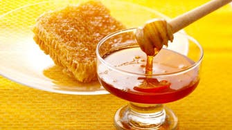 Honey industry buzzing in Saudi’s Jazan city  