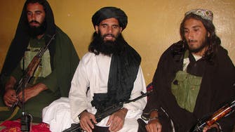 Pakistani Taliban commander shot dead in Waziristan