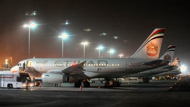 Etihad Airways aircraft are seen at Abu Dhabi International Airport on Sept. 19, 2012. (File photo: Reuters)