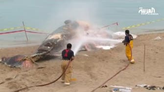Whale found dead on Kuwaiti beach