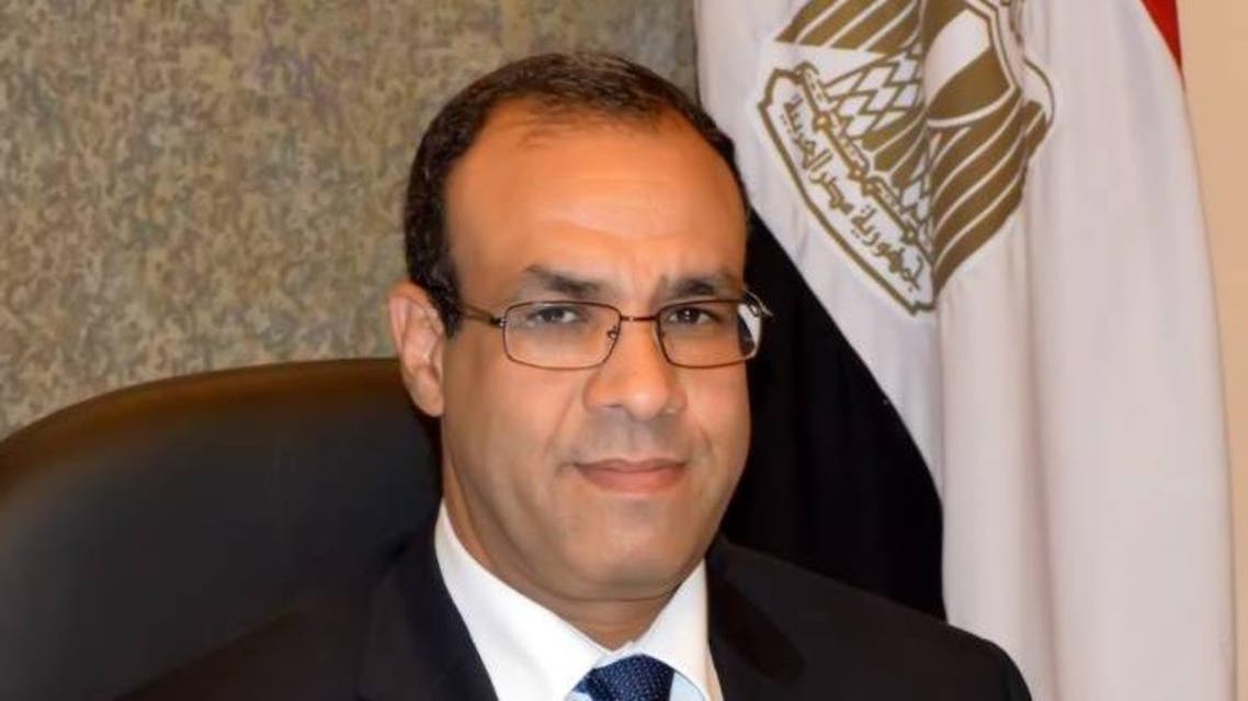 السفير بدر عبد العاطي