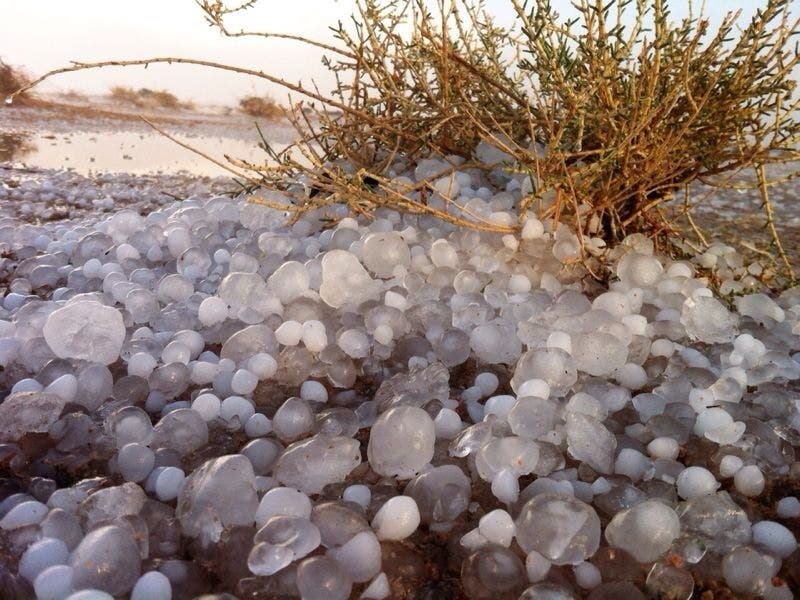 برد القصيم