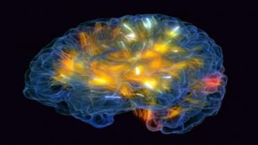 رسم يظهر تقنية عمل الدماغ ودوران الأفكار بداخله
