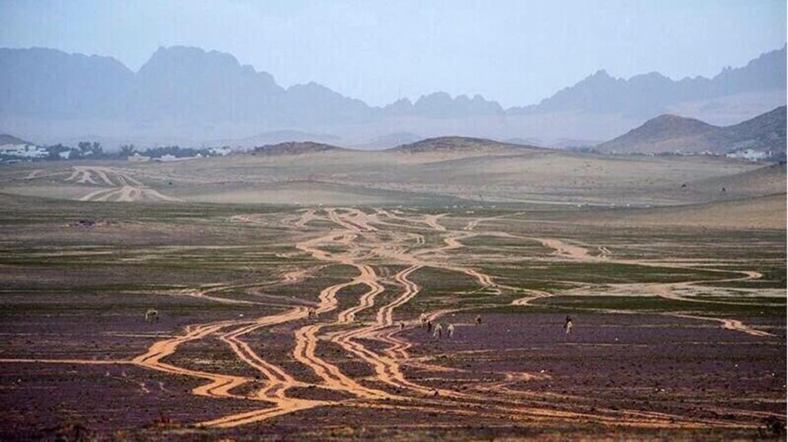 صورة أرشيفية لجبال موقق في تبوك