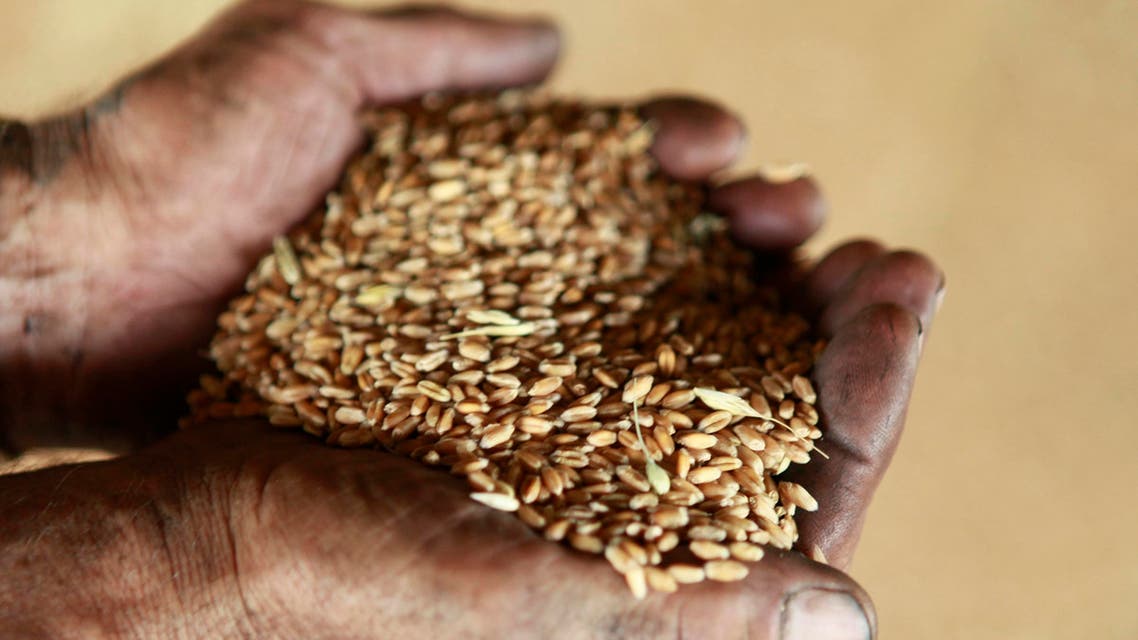 wheat business
