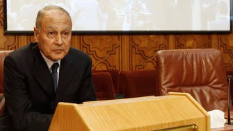 Egypt ex-foreign minister says Jan. 25 was not a ‘revolution’