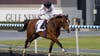 Dubai Horse Race