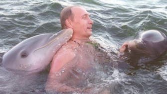 روسی صدر کی کھلے سمندر میں ڈولفن کے ہمراہ پیراکی!