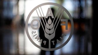 World food prices jump again in March - U.N.’s FAO
