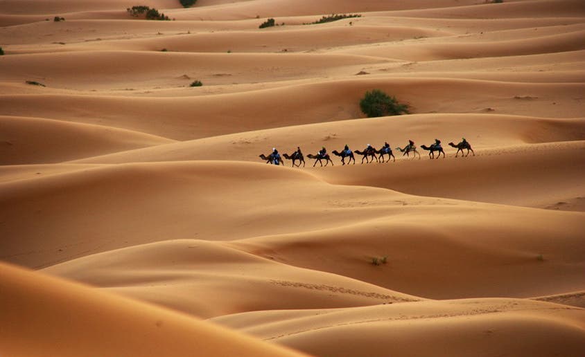الصحراء الغربية