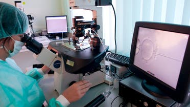 Doctor Katarzyna Koziol injects sperm directly into an egg during in-vitro fertilization (IVF) procedure called Intracytoplasmic Sperm Injection (ICSI) at Novum clinic in Warsaw Oct. 26, 2010.  (Reuters)