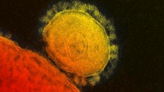 Official: Lebanon detects its first MERS case 