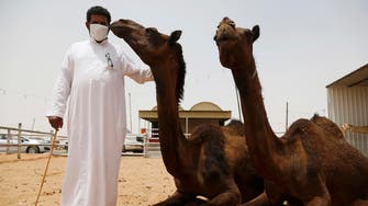 Saudi Arabia warns of MERS risk from camels 