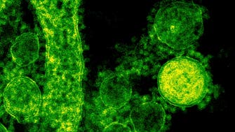 Saudi Arabia’s COVID-19 measures helped reduce prevalence of MERS: WHO