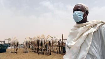 WHO: Coronavirus cases down, but vigilance a must for Haj