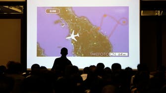 Revealed: Raw satellite data on missing MH370 