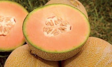 melon
