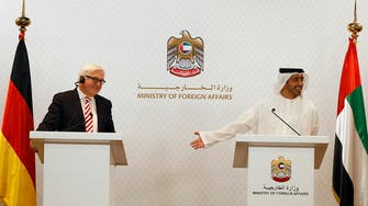 UAE FM: differences with Iran not only about nuclear issue