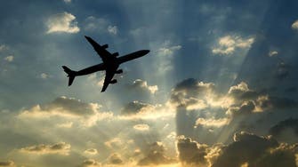 Airlines make less than $6 per passenger, says IATA
