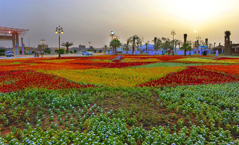 تبوك تدشن مهرجان الورود و تواصل رهانها الزراعي