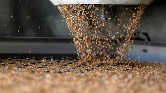 Egypt, UAE choose army-linked company to build wheat silos